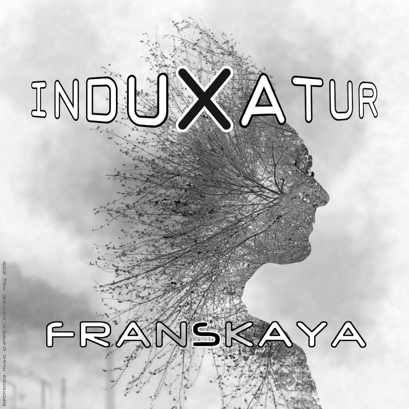 Cover image of the music single Induxatur by Franskaya